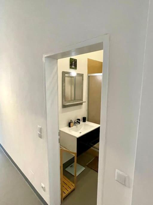 Klimatisierte Sehr Zentrale Wohnung-Loftstyle- ウィーン エクステリア 写真