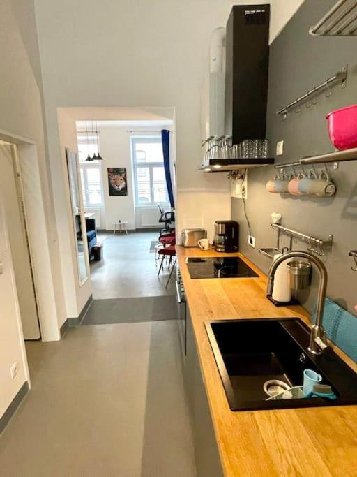 Klimatisierte Sehr Zentrale Wohnung-Loftstyle- ウィーン エクステリア 写真